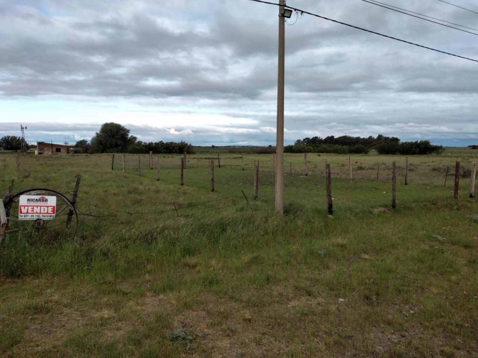 saavedra · Bahia Blanca — foto 5
