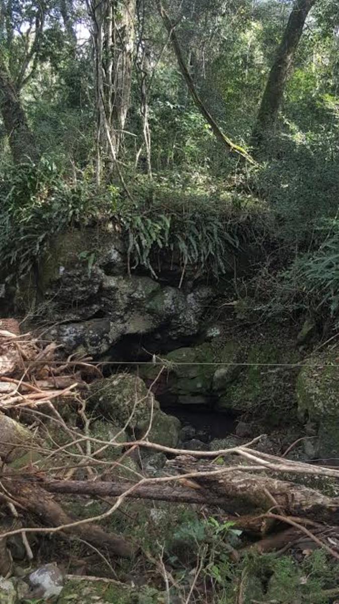 Cerro Cora · Candelaria — foto 3