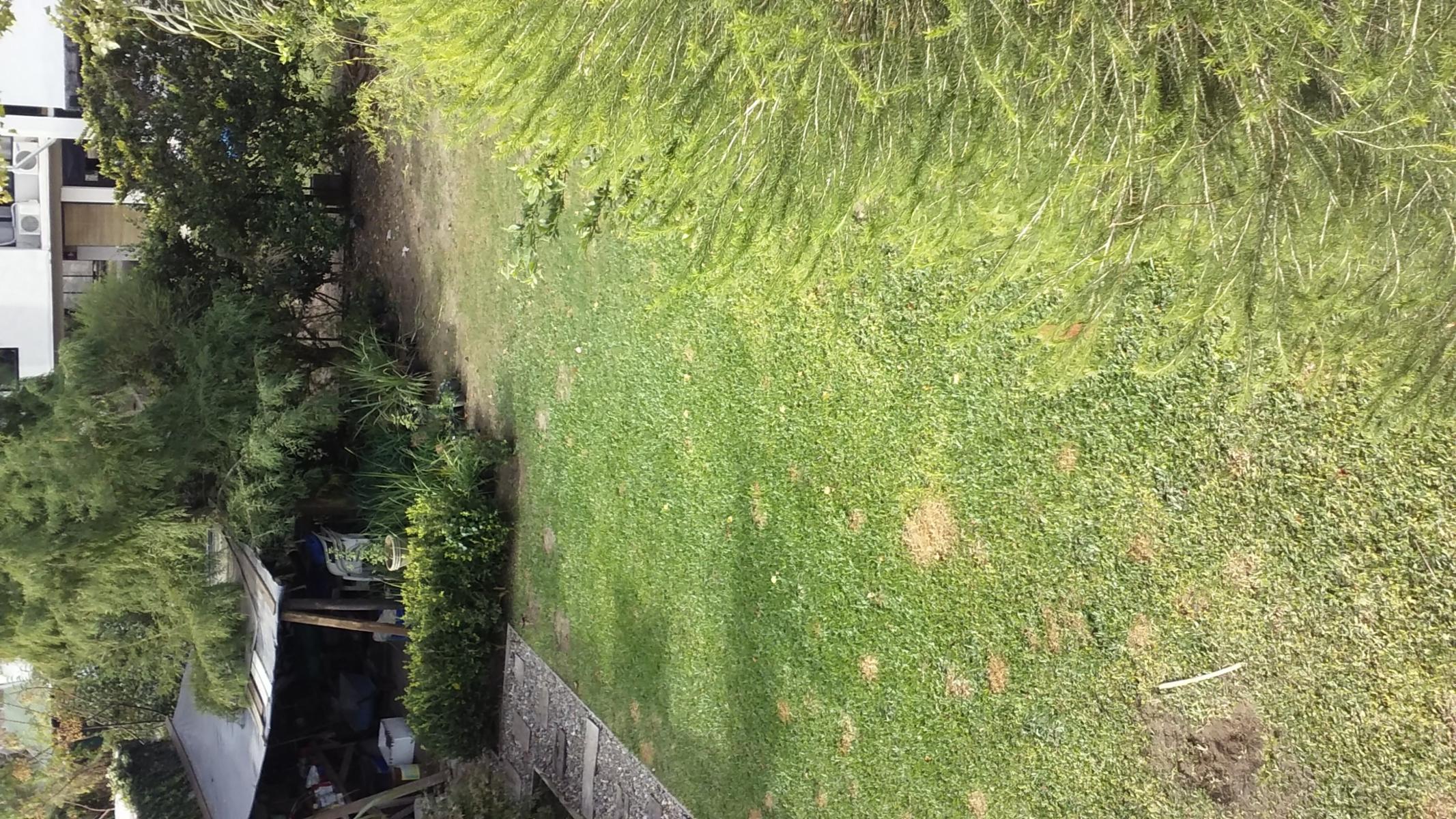 JACARANDA 2200 · Rosario — foto 23