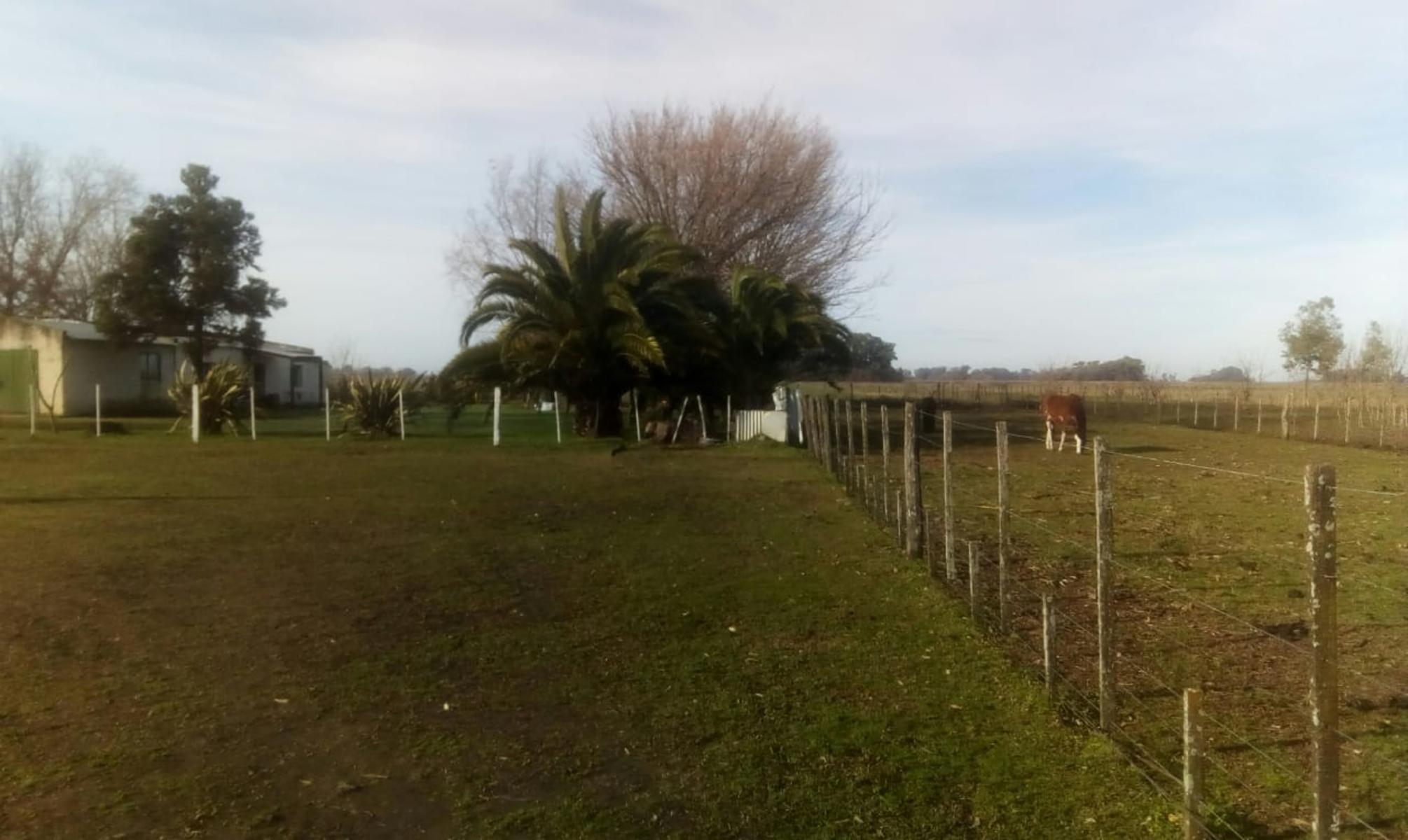 Excelente Campo 94 Agricola. Imperdible