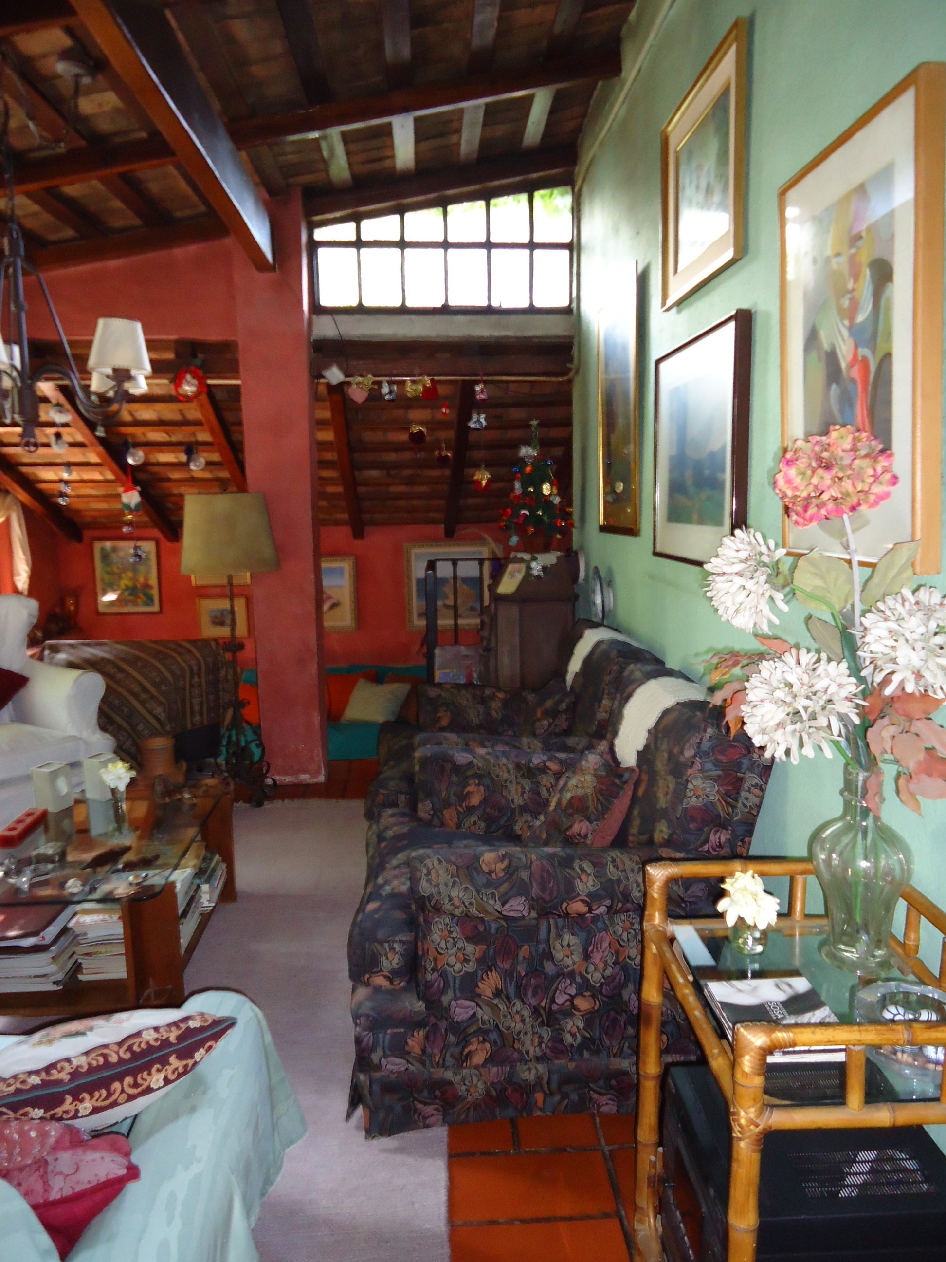 Peru 600 · Tigre — foto 9