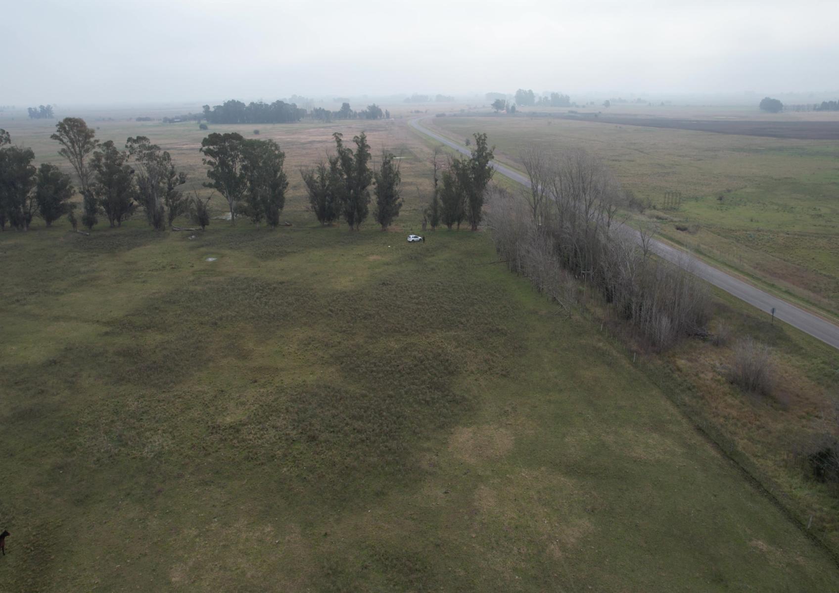 CAMPO en Venta en Magdalena - 17 hectáreas sobre Ruta