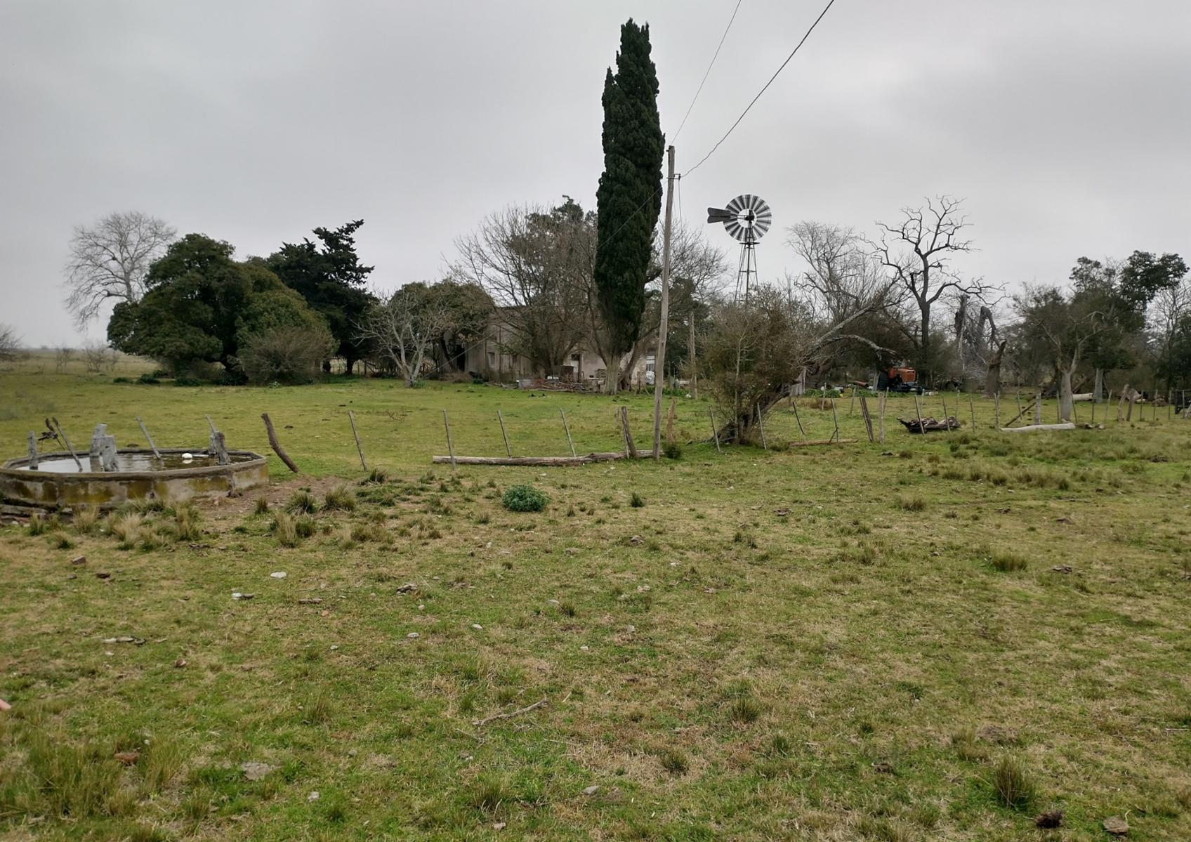 Ruta 36 km 99 · Magdalena — foto 11