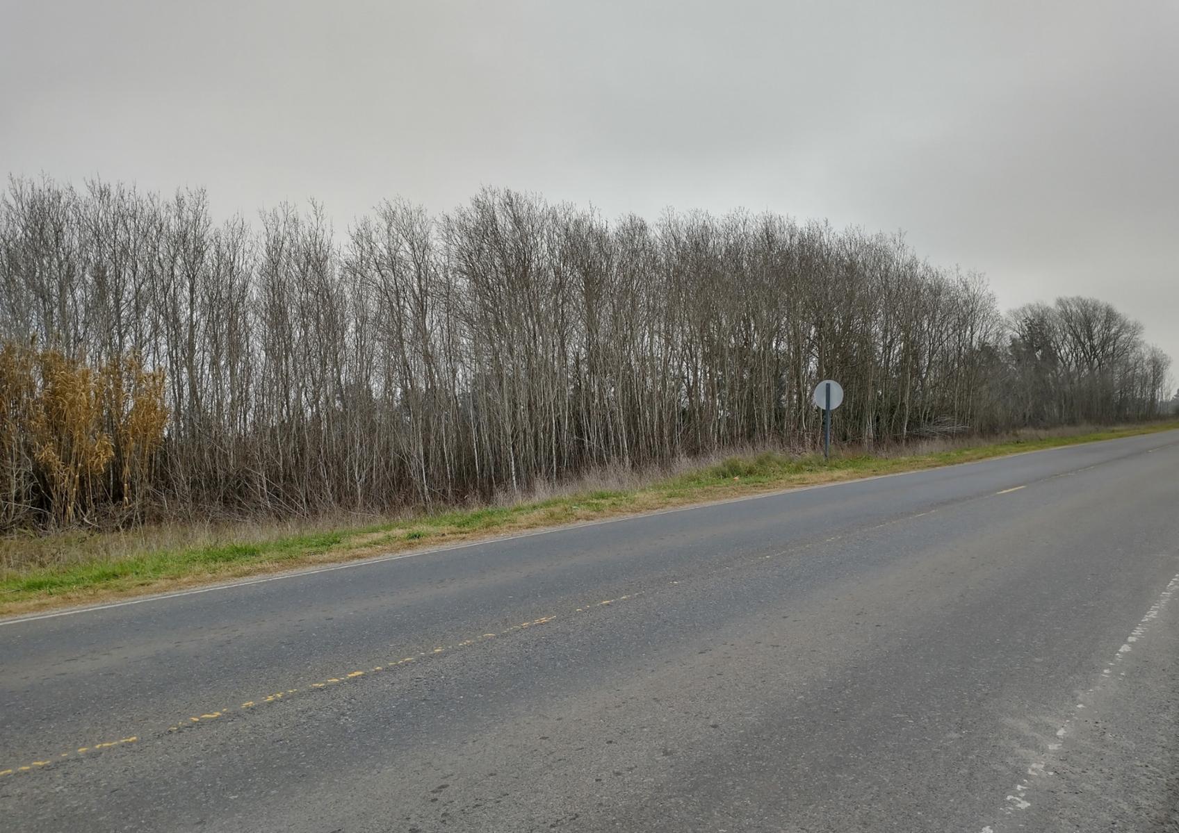 Ruta 36 km 99 · Magdalena — foto 4
