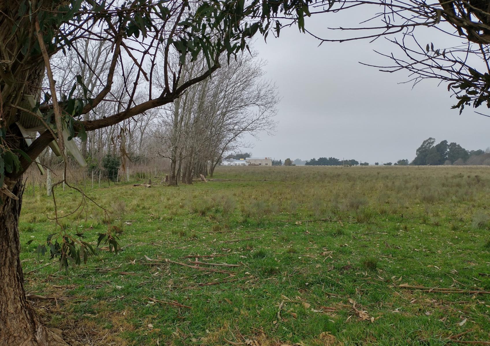 Ruta 36 km 99 · Magdalena — foto 5