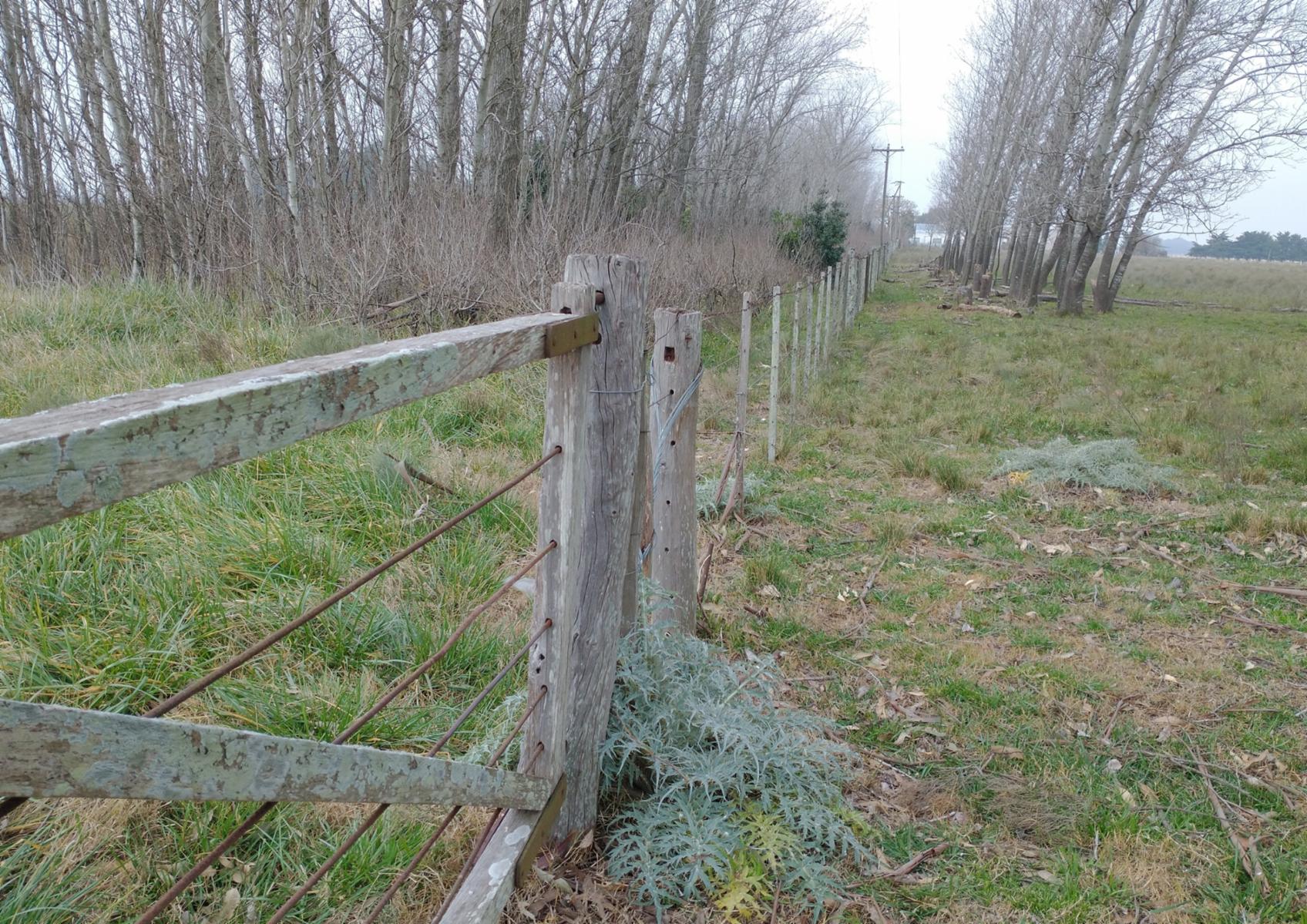 Ruta 36 km 99 · Magdalena — foto 6