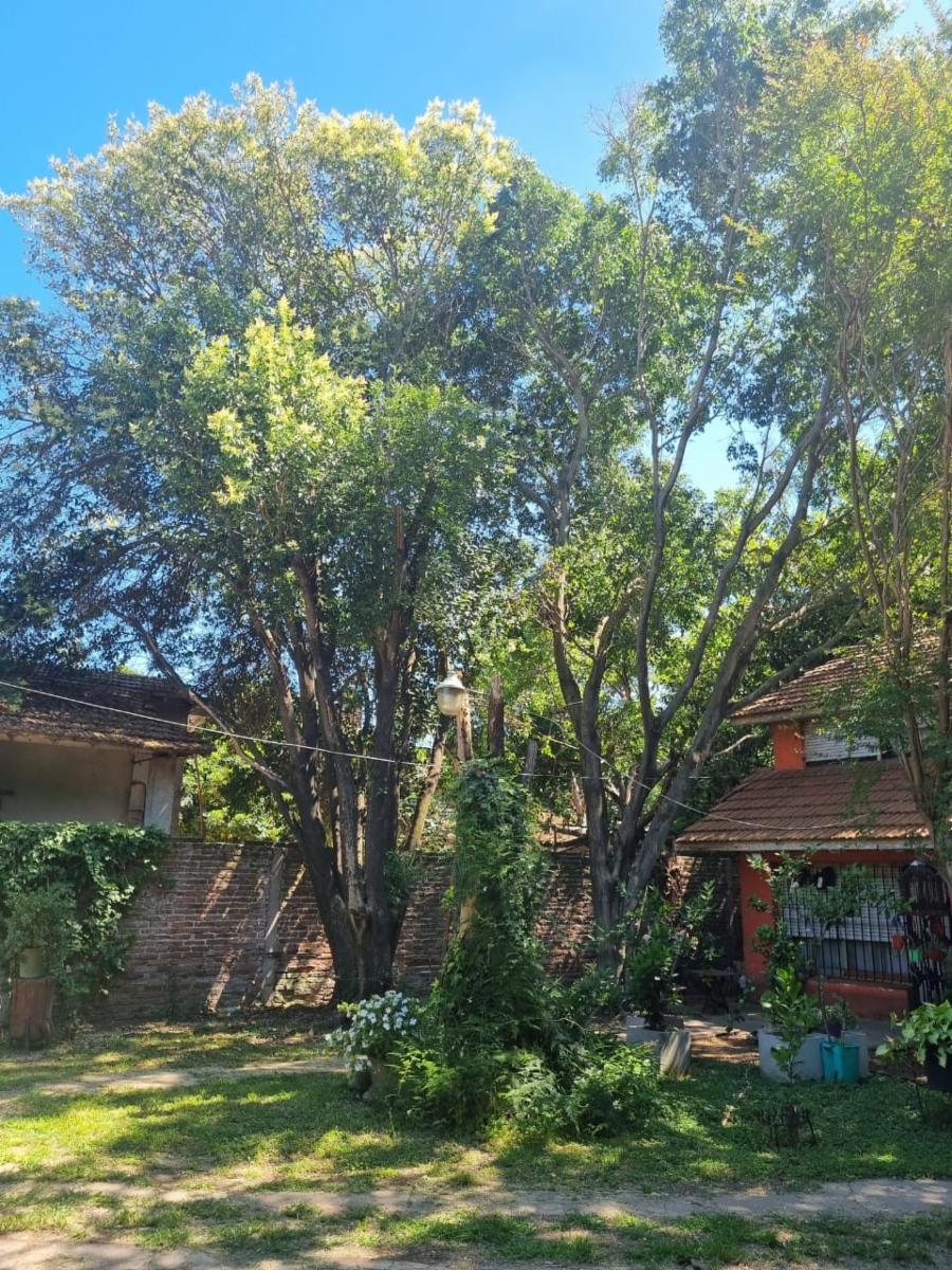 COLLIVADINO 60 · Lomas De Zamora — foto 3