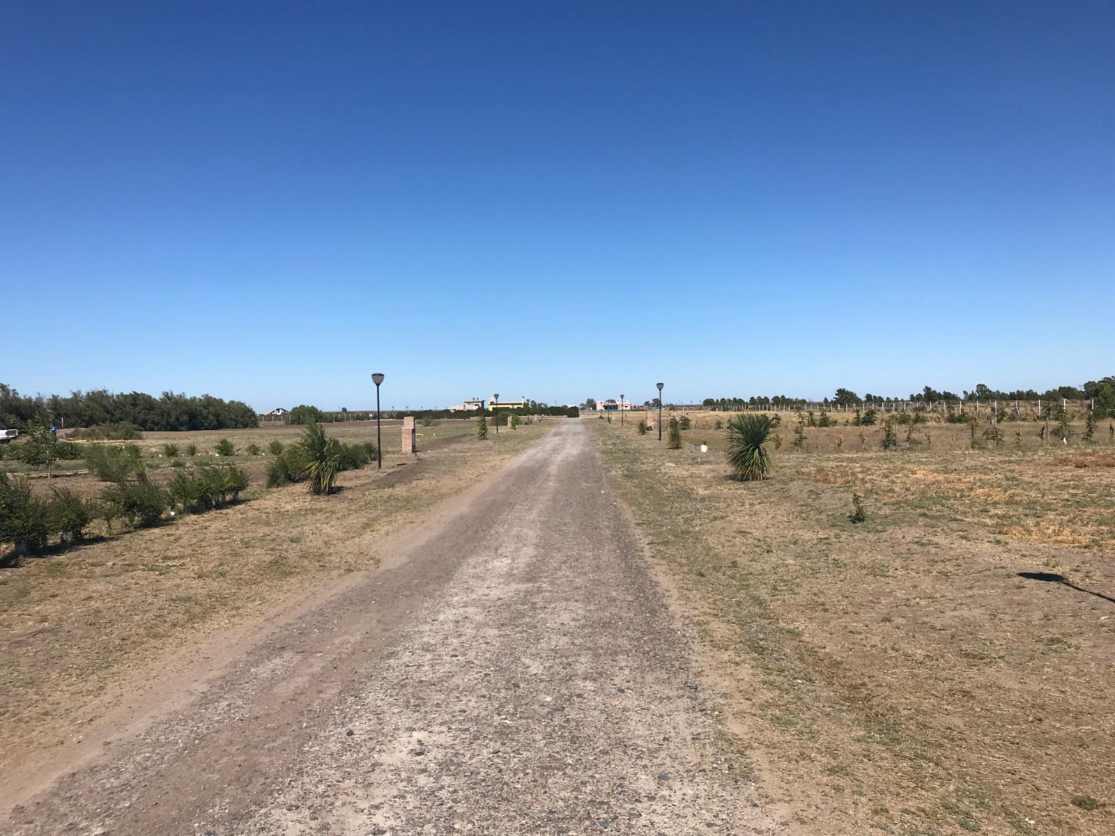 RUTA PROV.N°1 · Adolfo Alsina — foto 6
