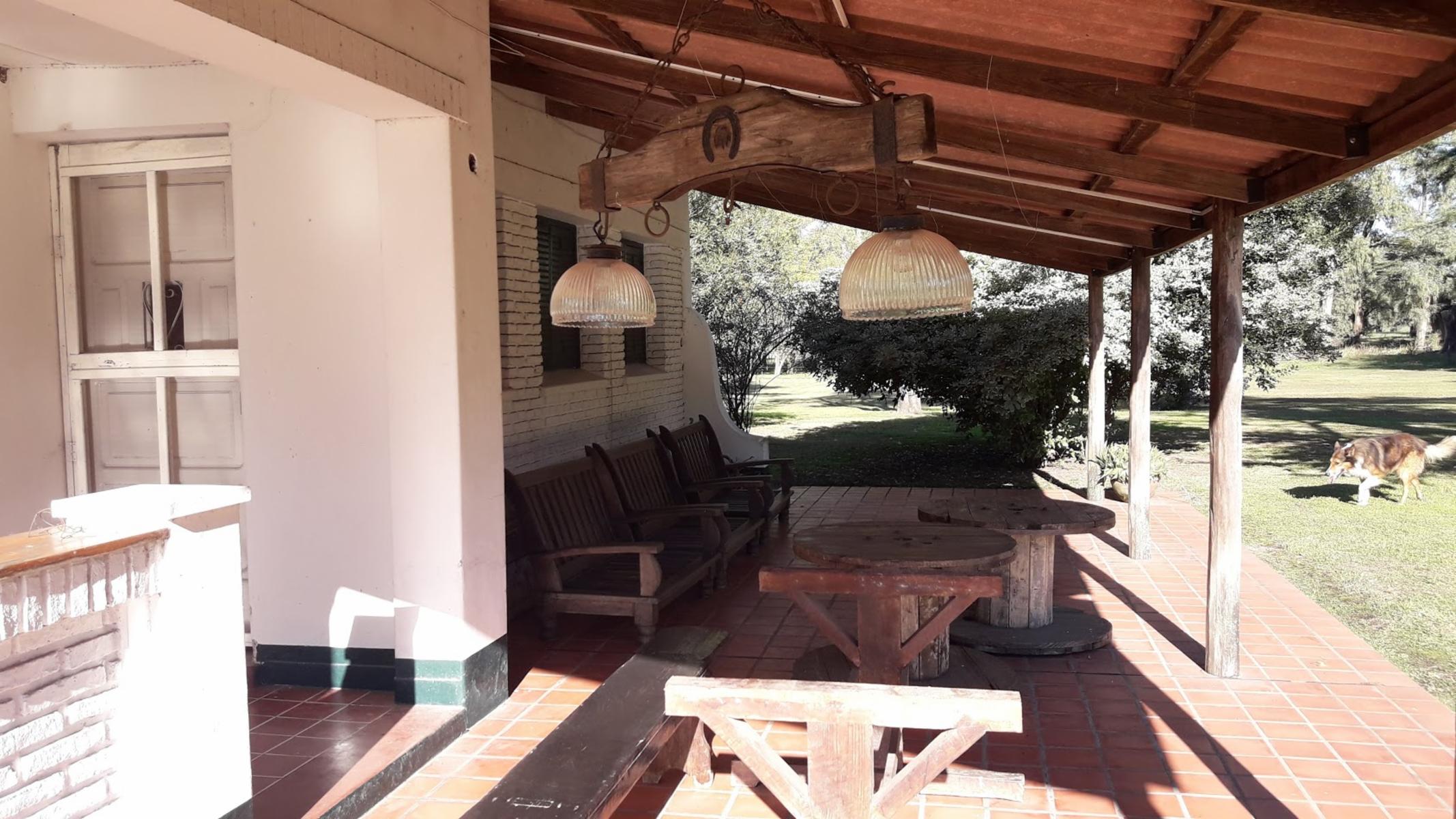 CADRET · Carlos Casares — foto 18