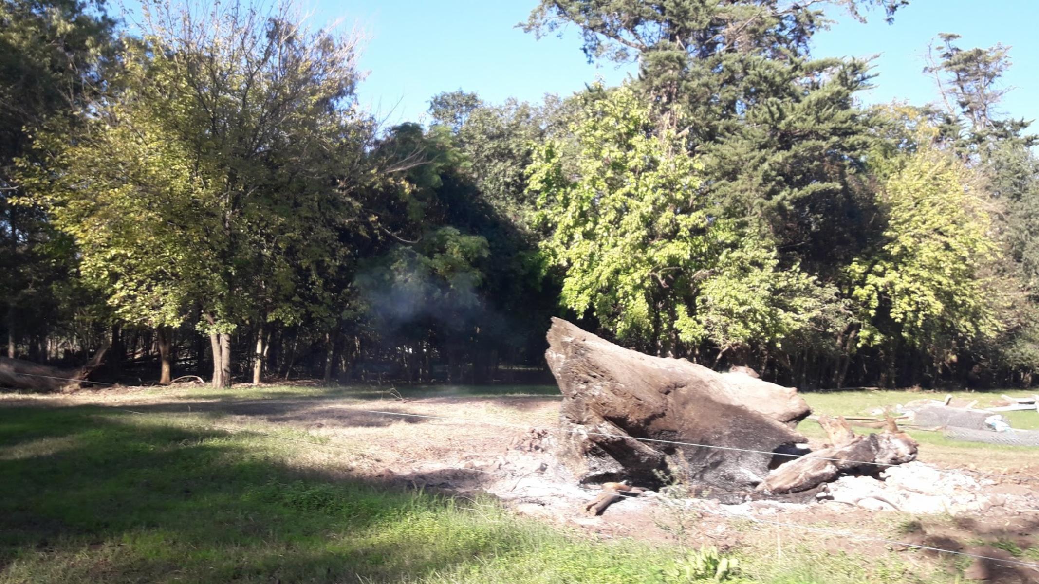 CADRET · Carlos Casares — foto 22
