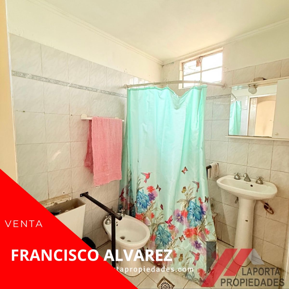 PARAMARIBO · Moreno — foto 8