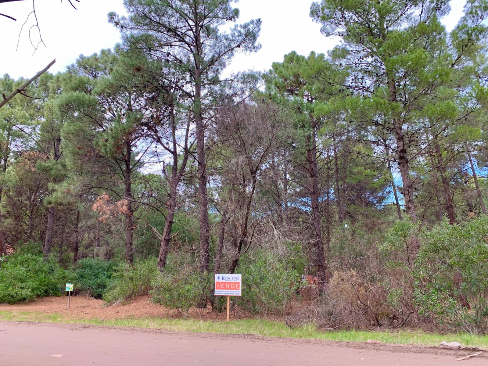 NUEVO INGRESO PINAR DEL GOLF