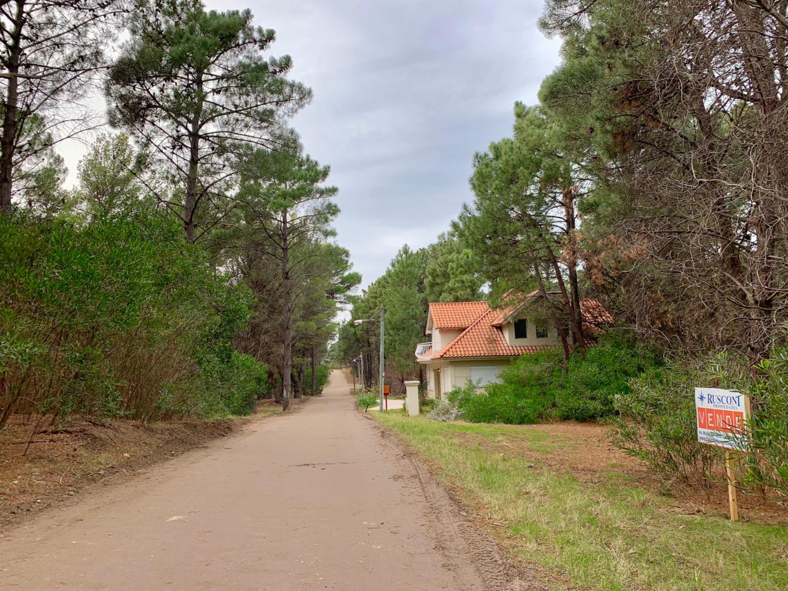 Bosque Alegre entre Los Zorzales y El Gavilán · Monte Hermoso — foto 3