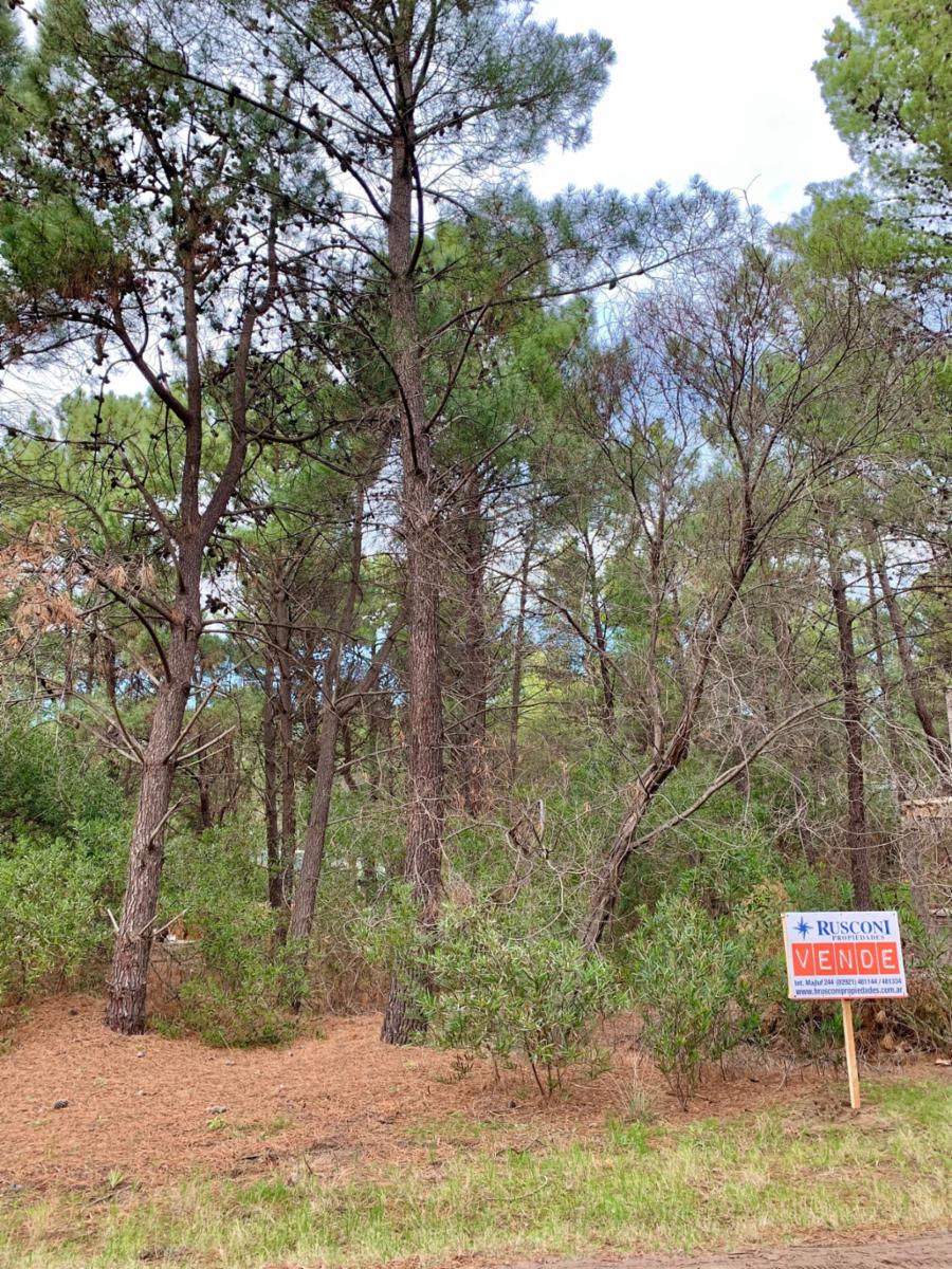 Bosque Alegre entre Los Zorzales y El Gavilán · Monte Hermoso — foto 5