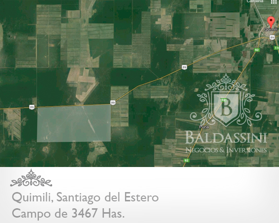 SE VENDE 1400 HECTAREAS SOBRE CAMPO DE 3467 HECTÁREAS EN QUIMILI. SOBRE RUTA 89