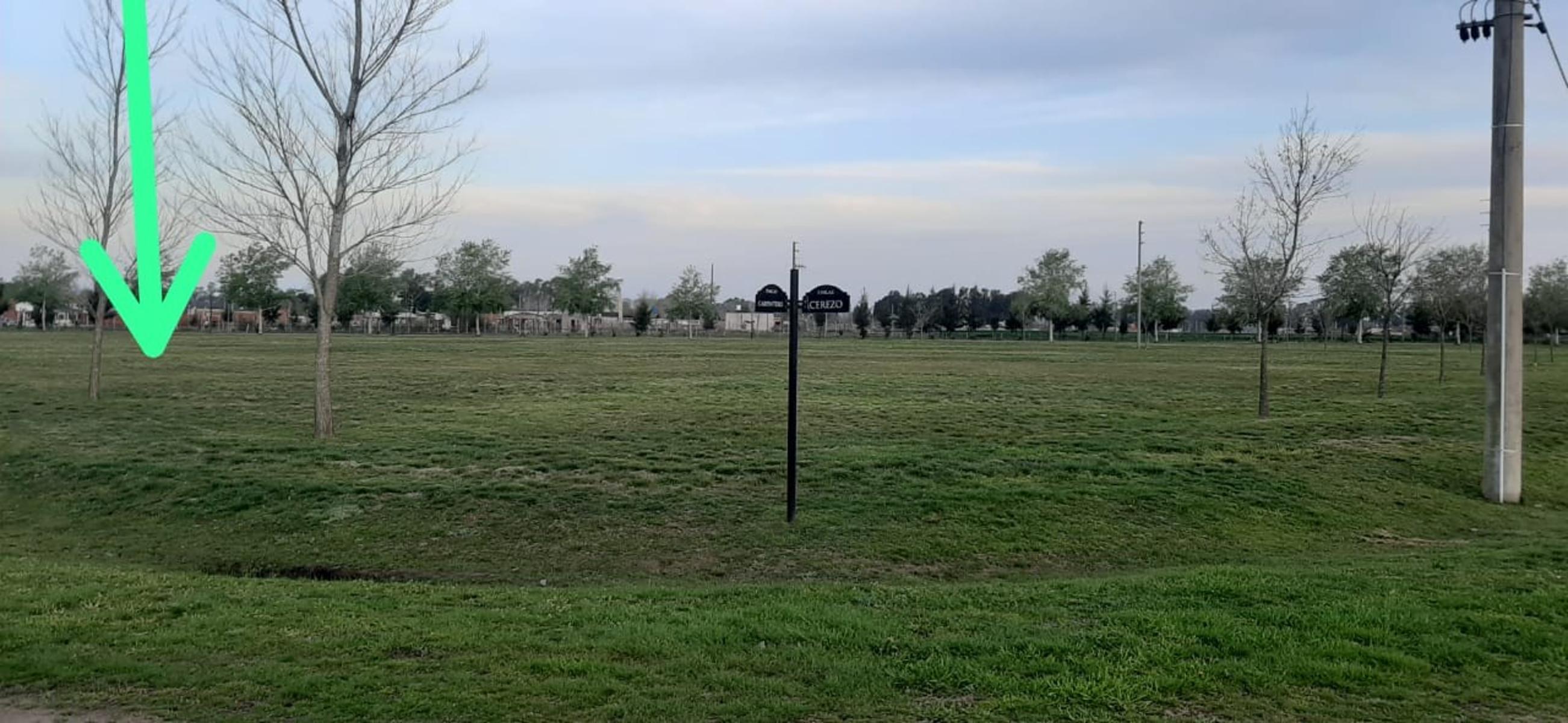 Avenida Juan Pablo II 1600 · San Vicente — foto 15