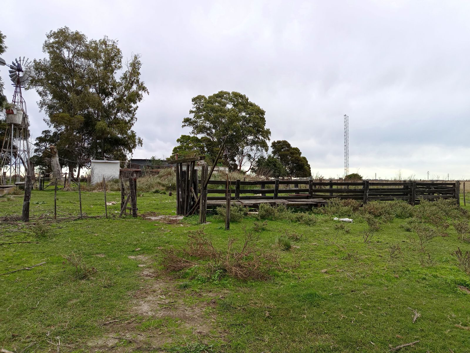 Calle Rural sin nombre · Punta Indio — foto 12