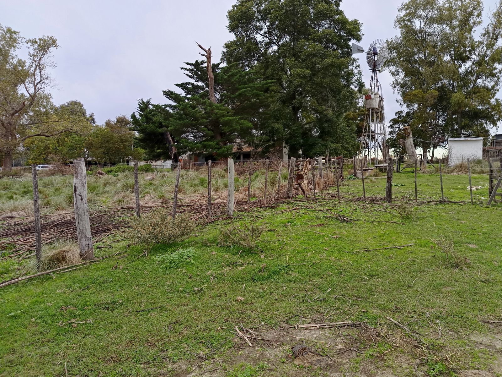 Calle Rural sin nombre · Punta Indio — foto 13