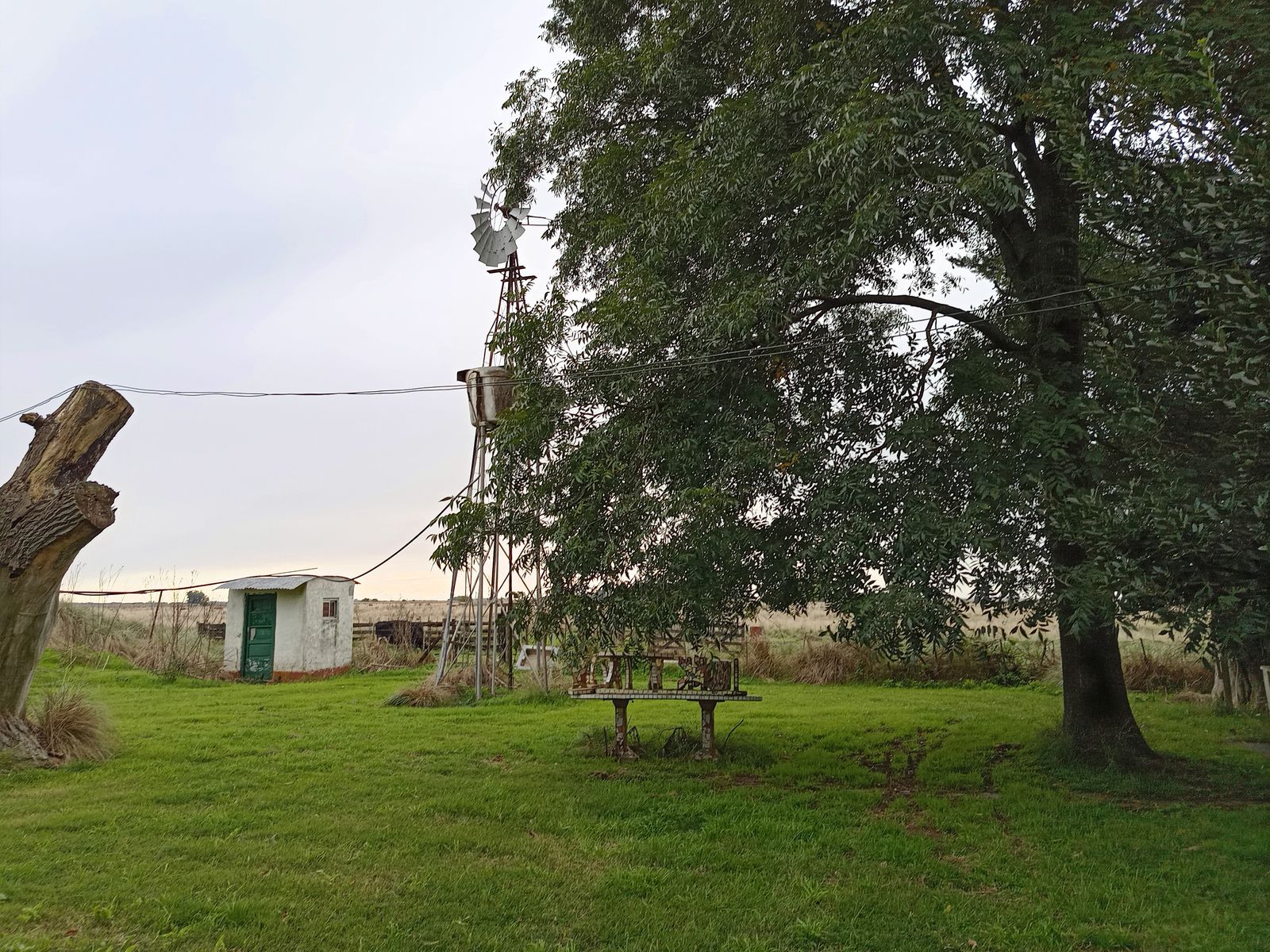 Calle Rural sin nombre · Punta Indio — foto 6