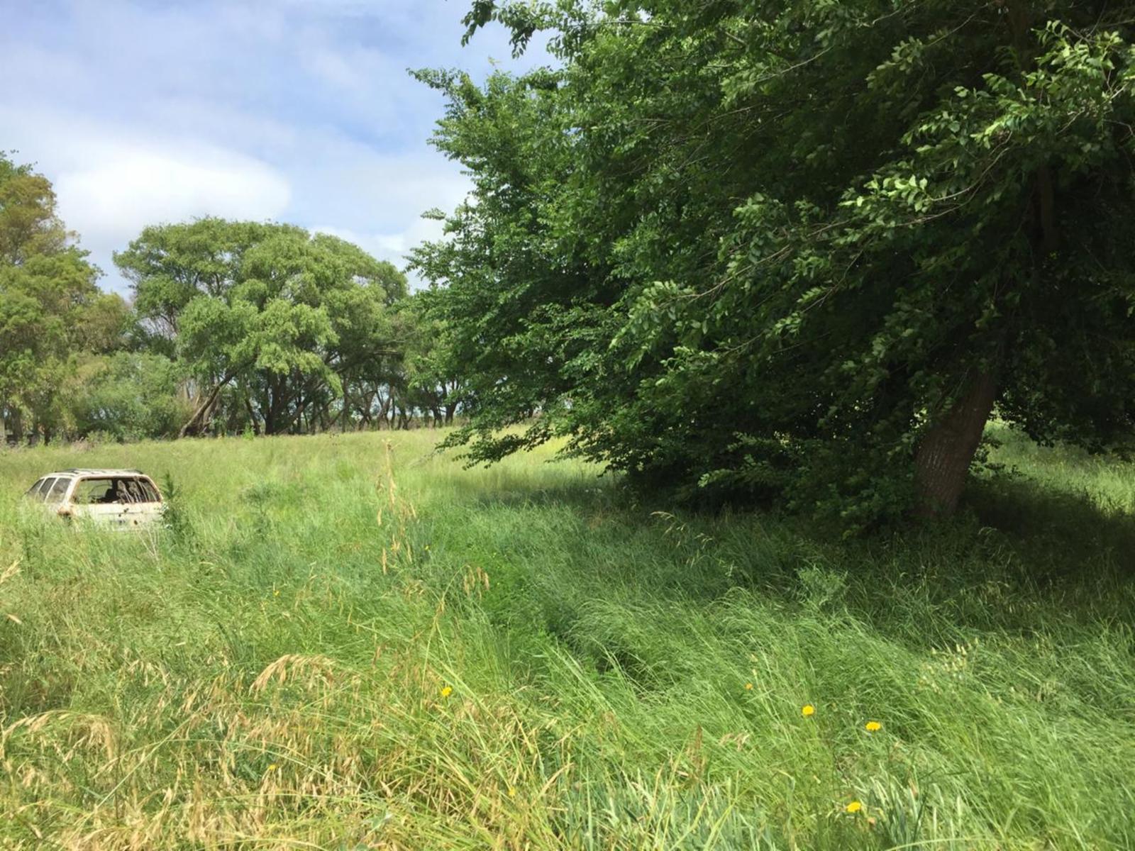 Ruta 11 km 318,7 · La Costa — foto 4