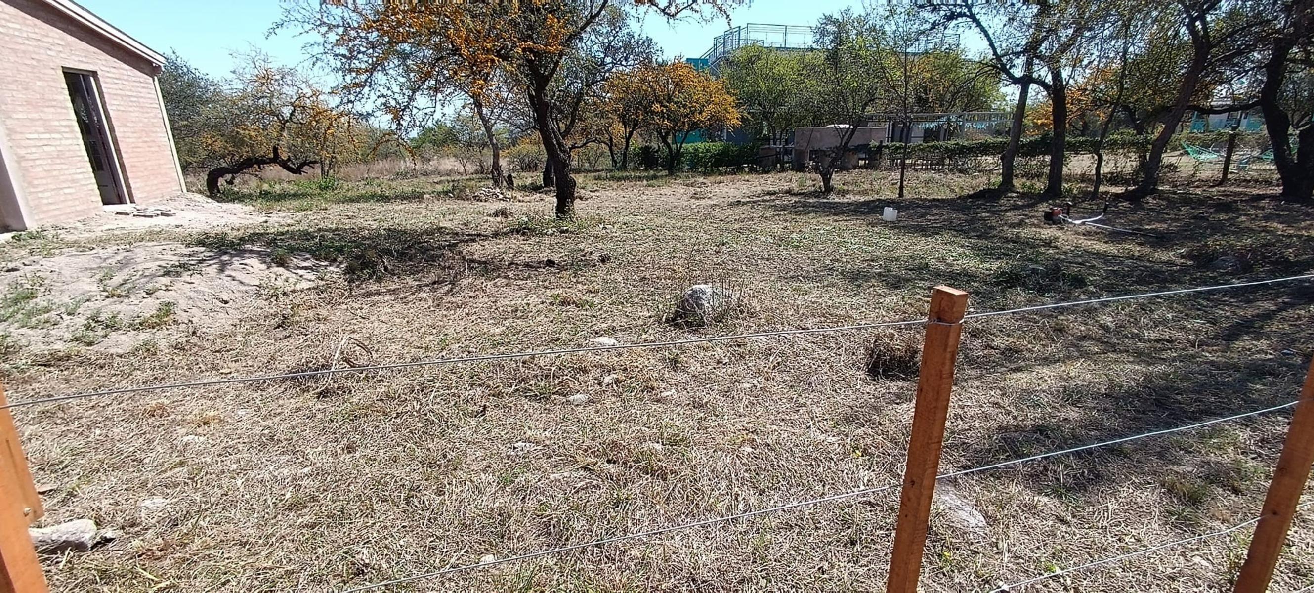 LAS MORERAS · Junín — foto 8