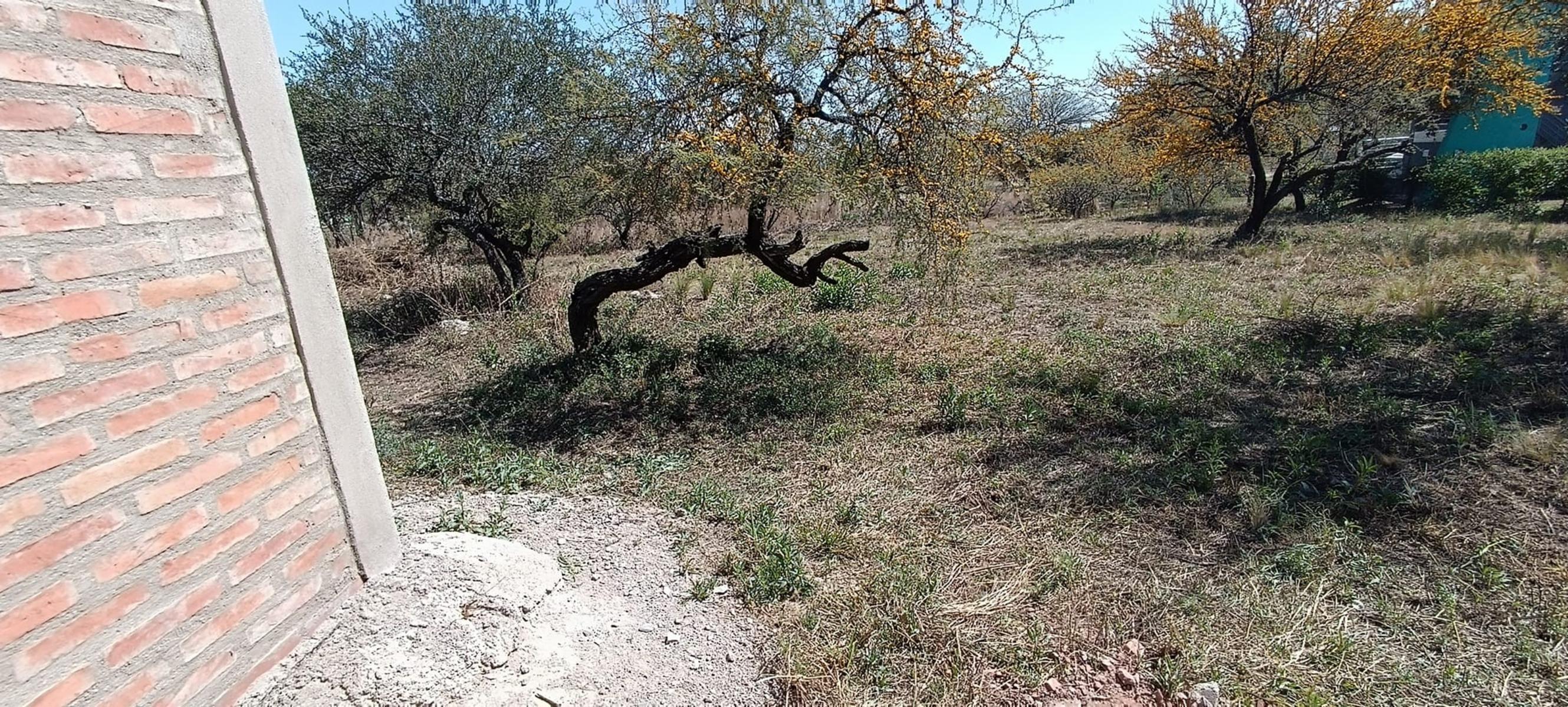 LAS MORERAS · Junín — foto 9