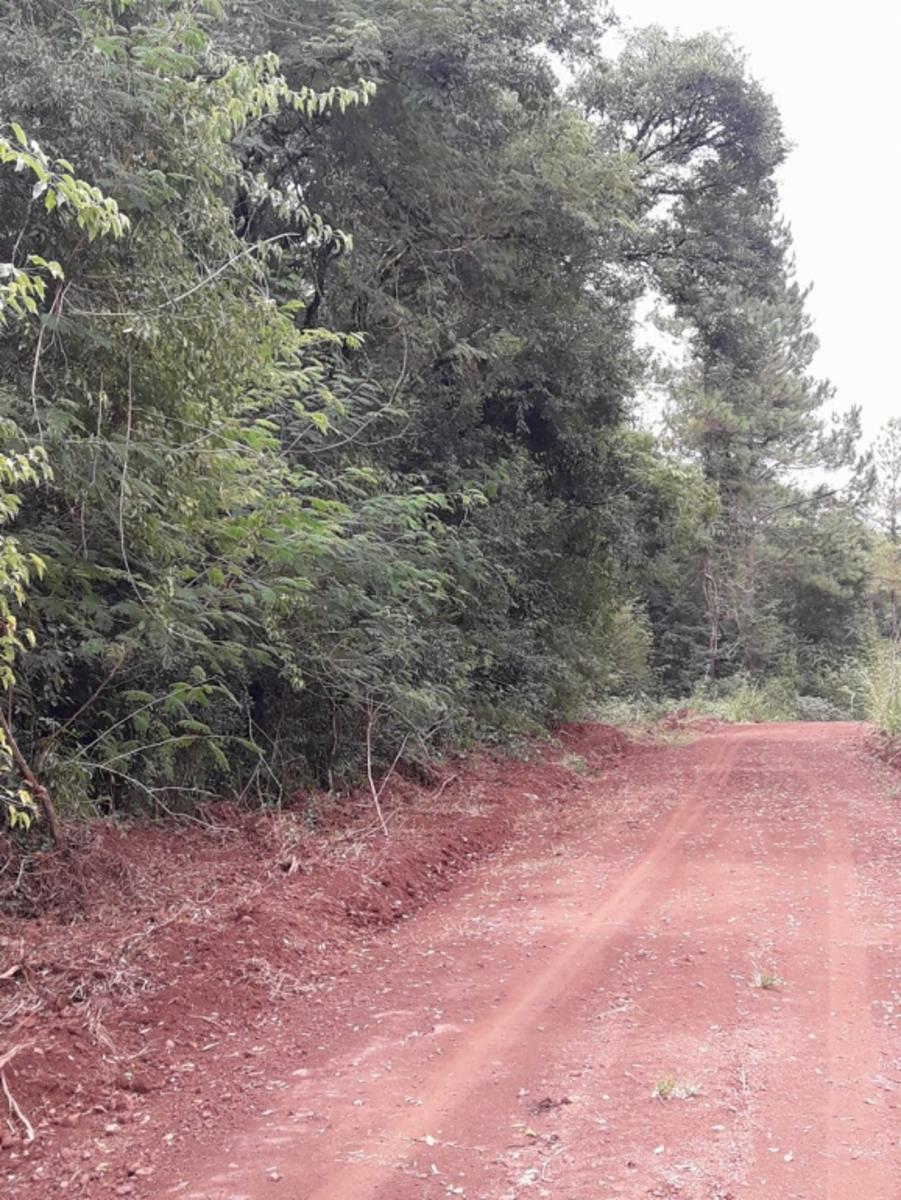 CAA-YARÍ · Leandro N. Alem — foto 3