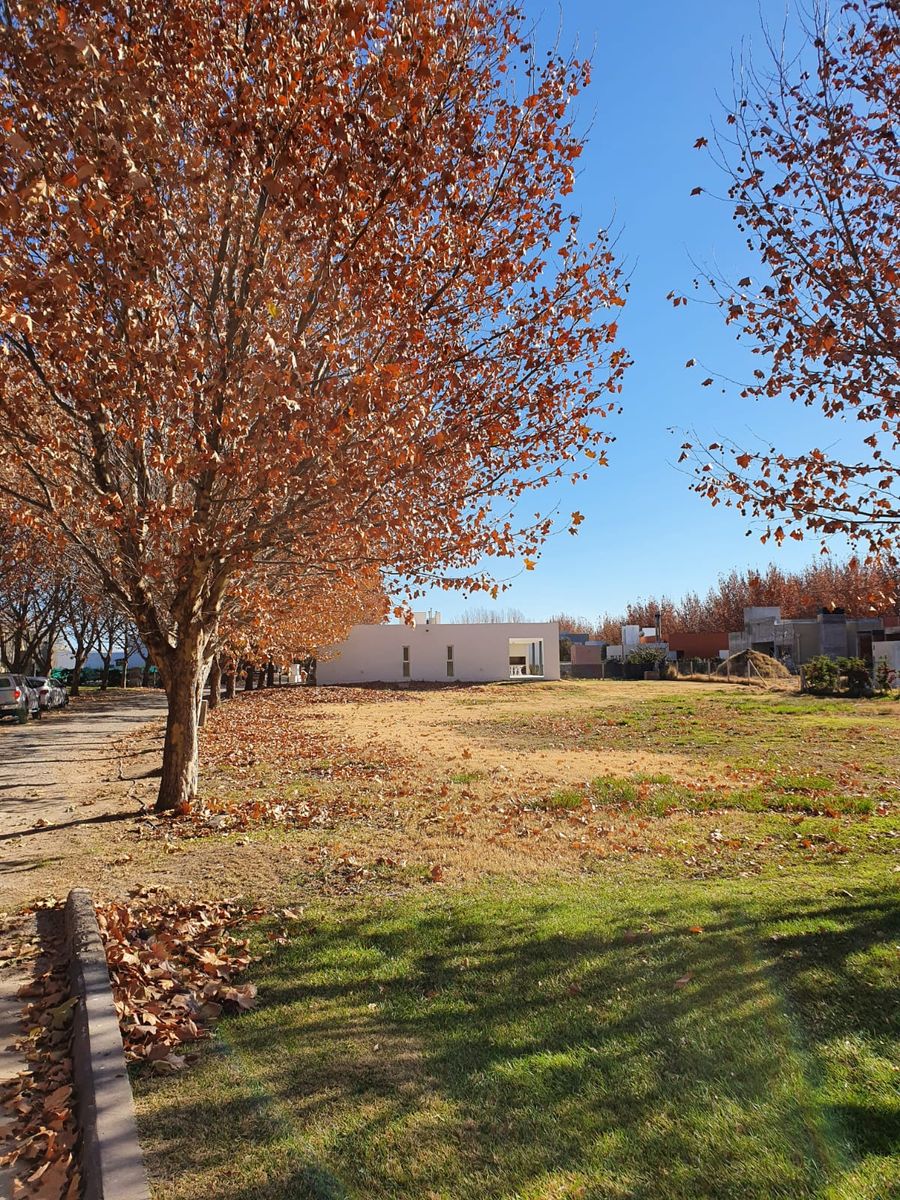 Grand Parc (Viterbori 4000) · General Roca — foto 4