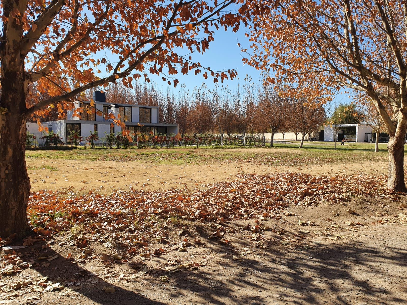Grand Parc (Viterbori 4000) · General Roca — foto 5