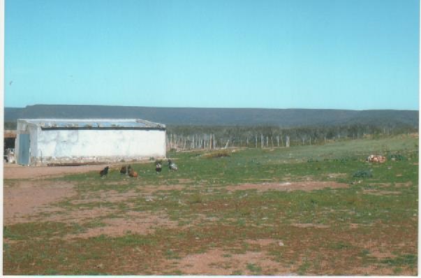 VALCHETA- PCIA DE RÍO NEGRO.- · Valcheta — foto 3