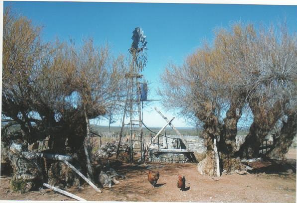 VALCHETA- PCIA DE RÍO NEGRO.- · Valcheta — foto 5