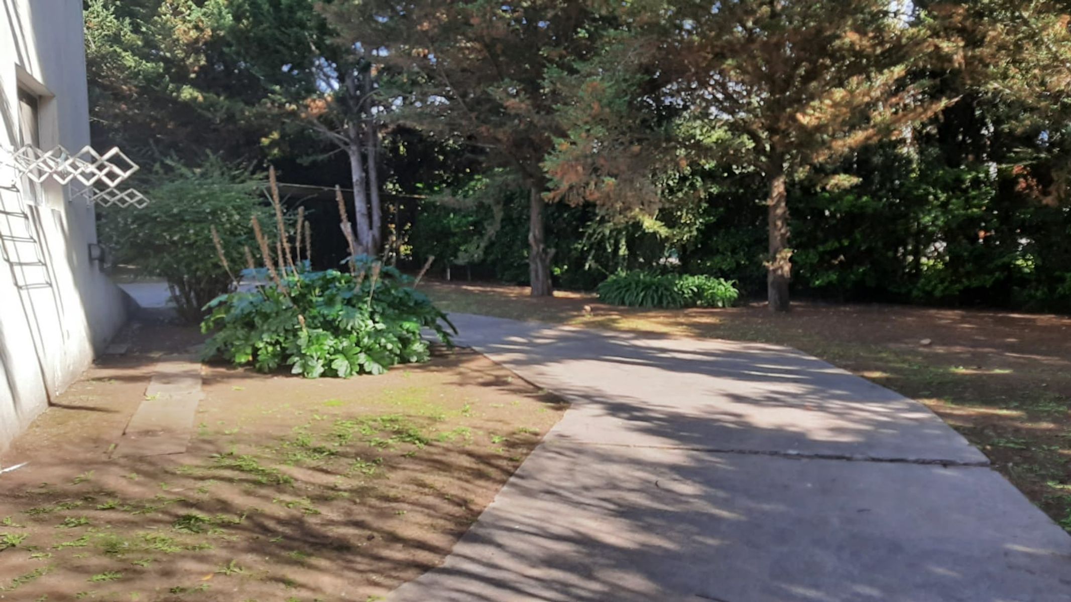 Loma de Campano · Tres Arroyos — foto 10