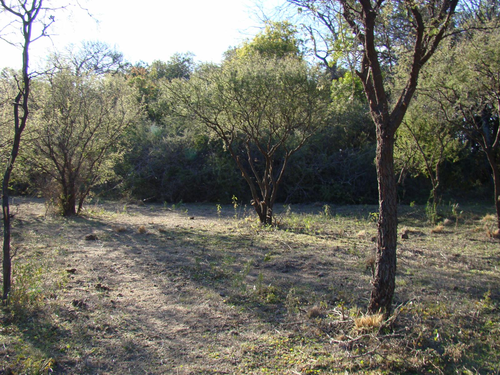 La Población · San Javier — foto 3