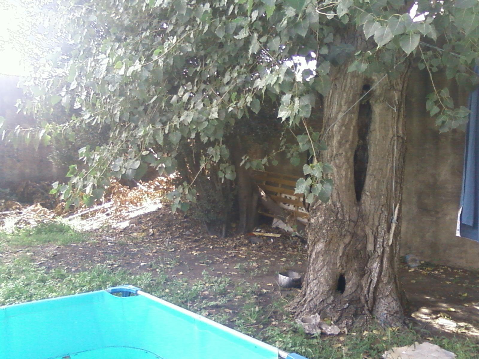 Fleming 2937 · Almirante Brown — foto 15