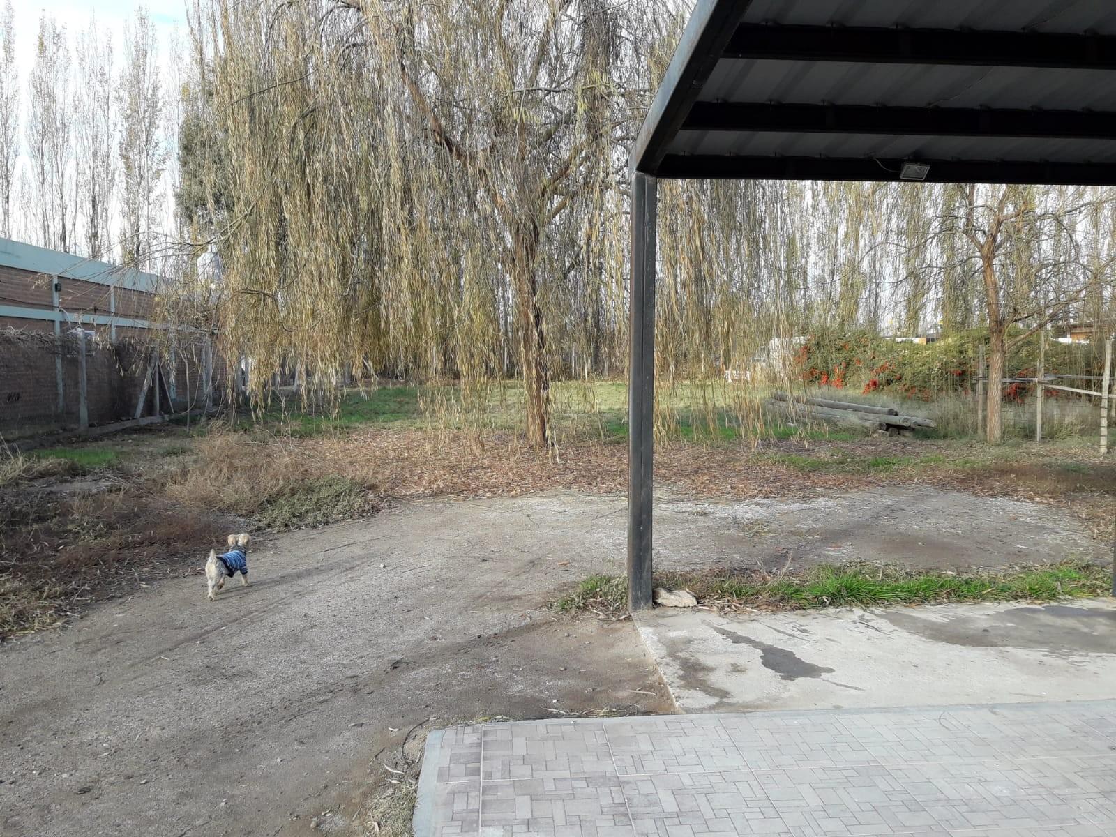 Barrio Manzanar · General Roca — foto 21