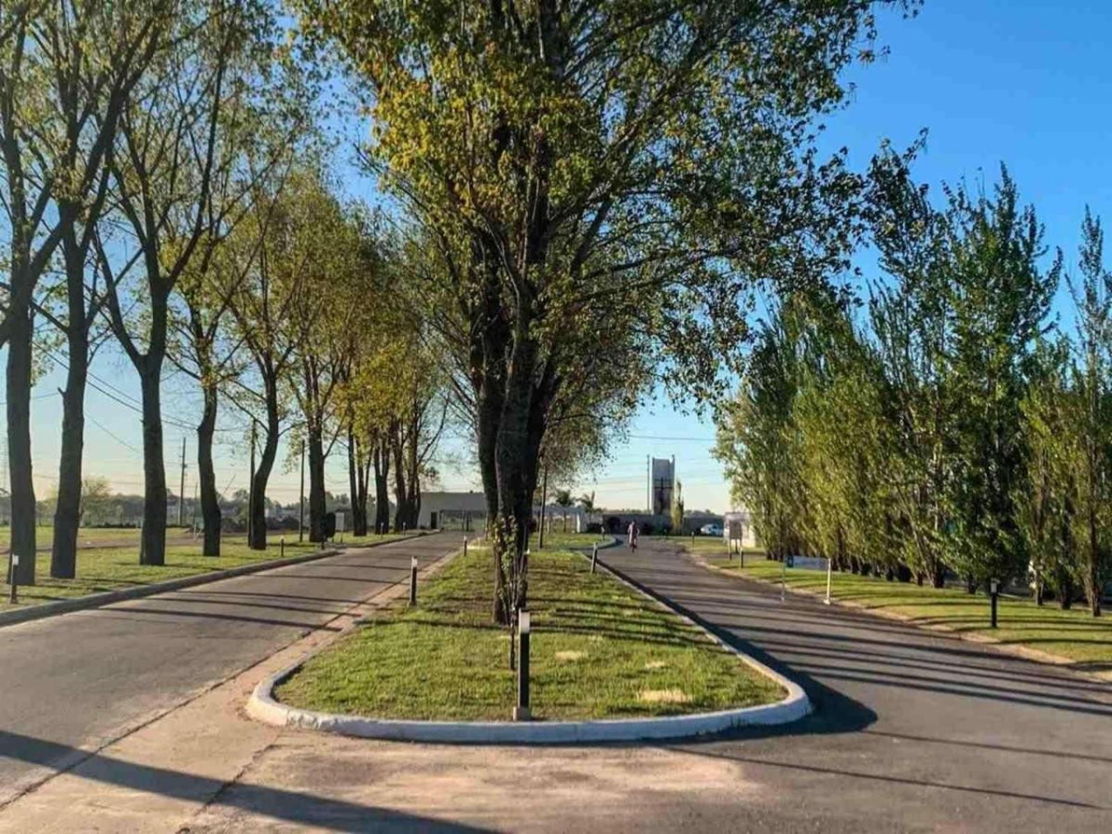 CACERES  1800 · Ezeiza — foto 8