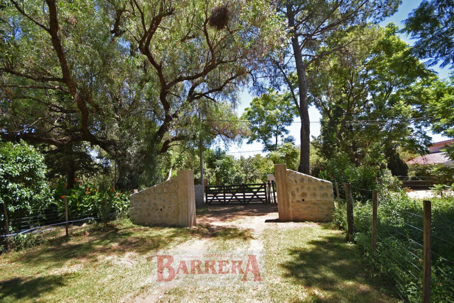 Calle de los Talas (Loma Bola, Traslasierra) · San Javier — foto 13