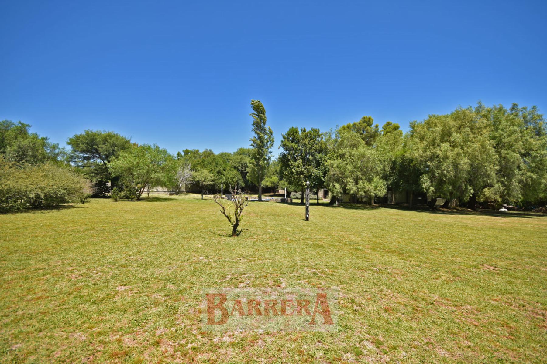 Calle de los Talas (Loma Bola, Traslasierra) · San Javier — foto 14
