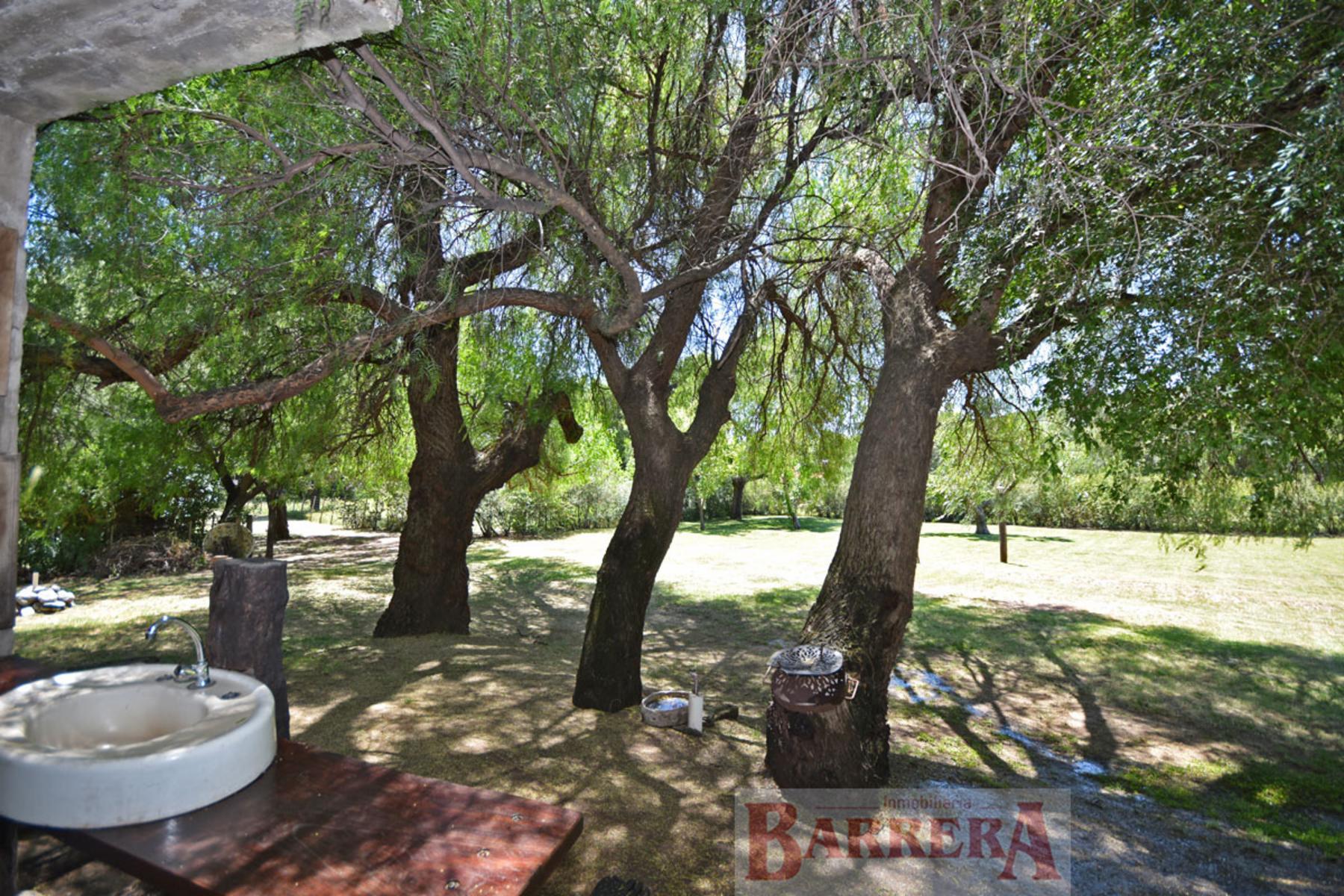 Calle de los Talas (Loma Bola, Traslasierra) · San Javier — foto 15