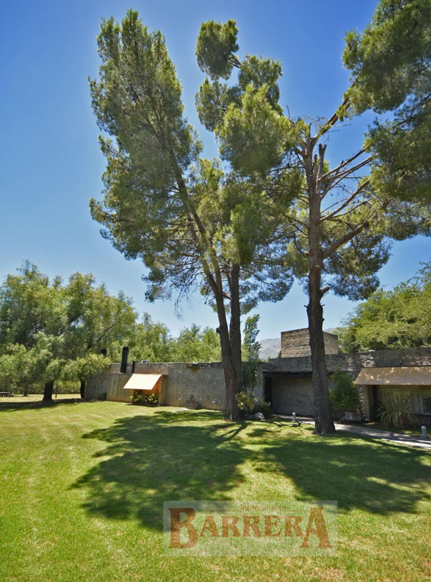 Calle de los Talas (Loma Bola, Traslasierra) · San Javier — foto 4