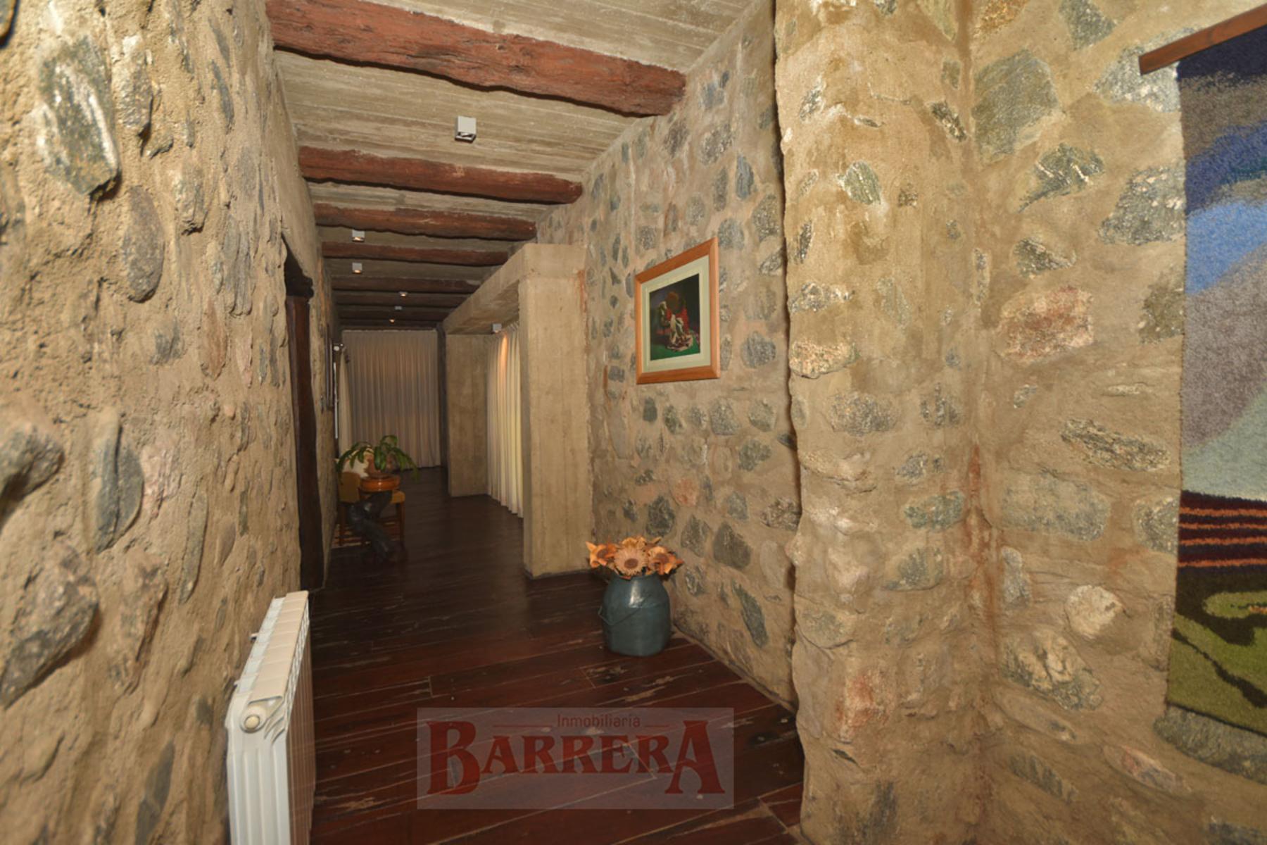 Calle de los Talas (Loma Bola, Traslasierra) · San Javier — foto 38