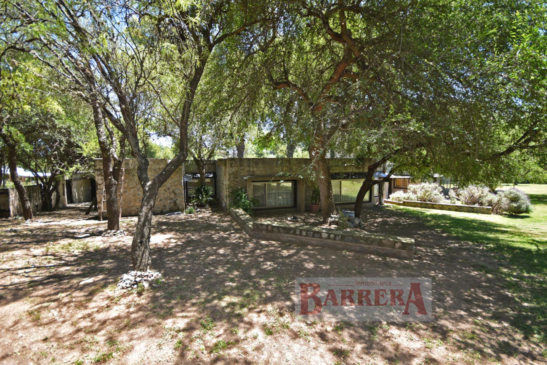 Calle de los Talas (Loma Bola, Traslasierra) · San Javier — foto 10