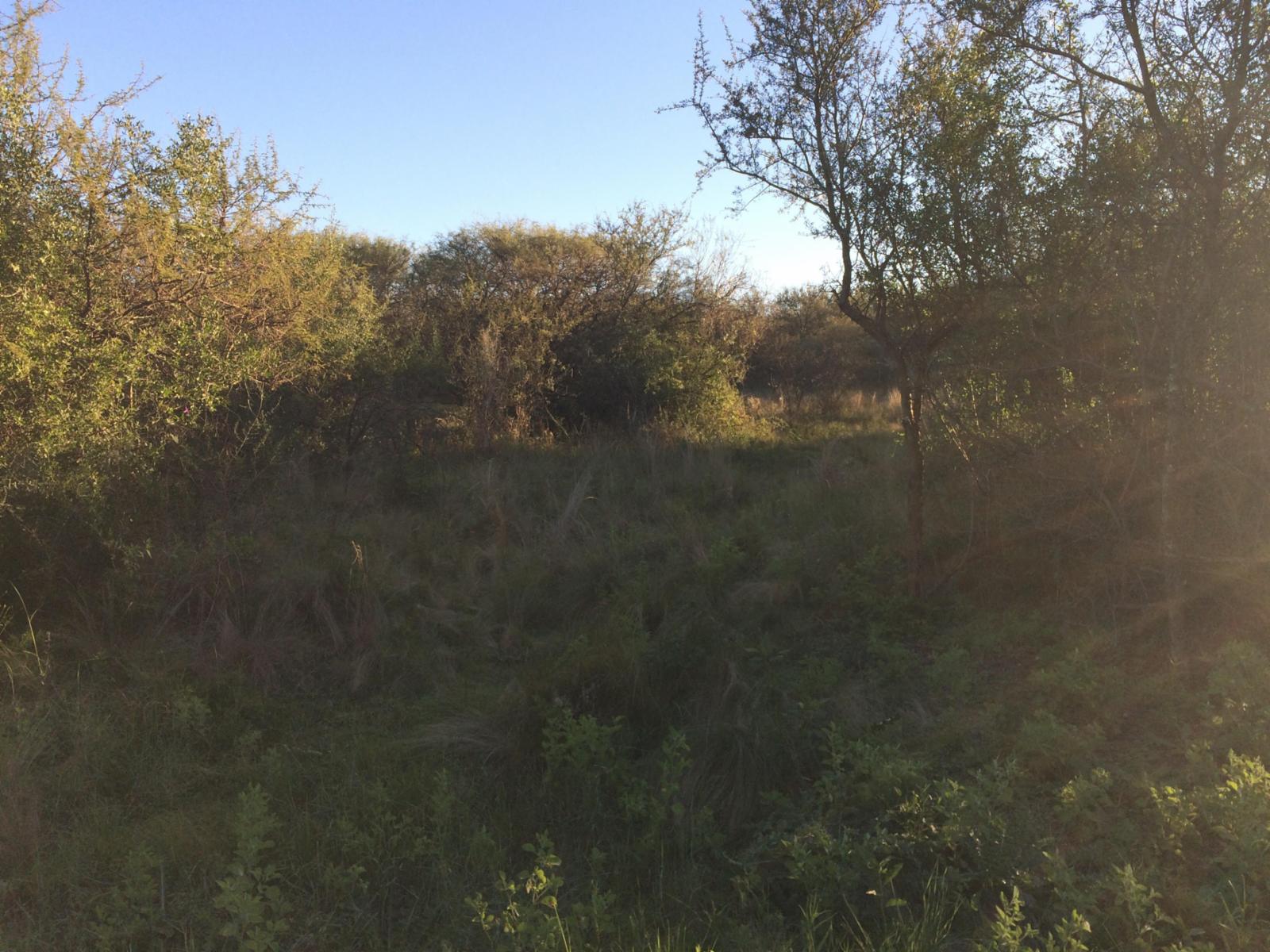 Villa de las Rosas · San Javier — foto 4