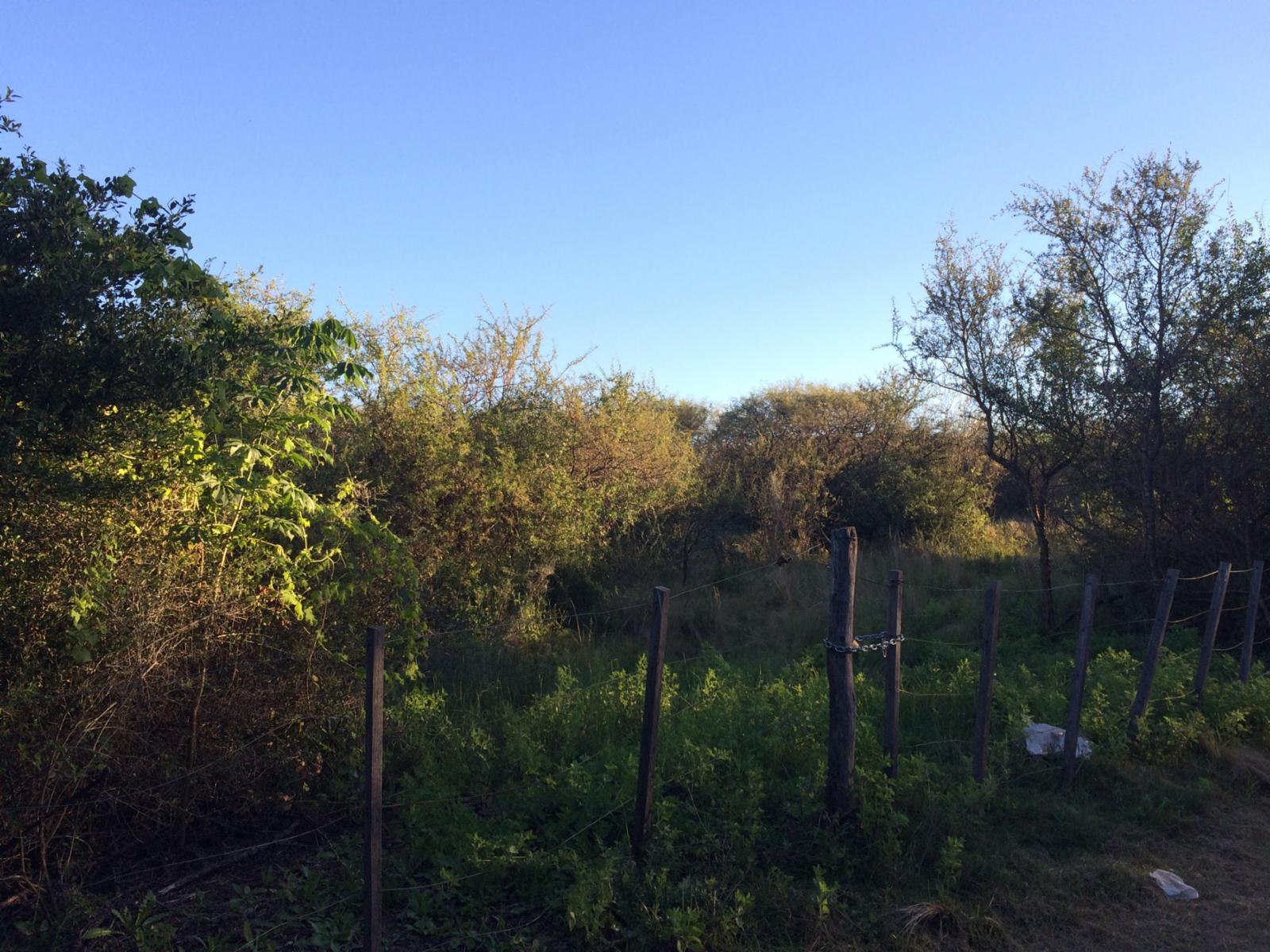 Villa de las Rosas · San Javier — foto 5