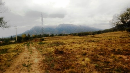 Venta Terreno 8 ha - Autopista 25 de Mayo 1500 - San Luis