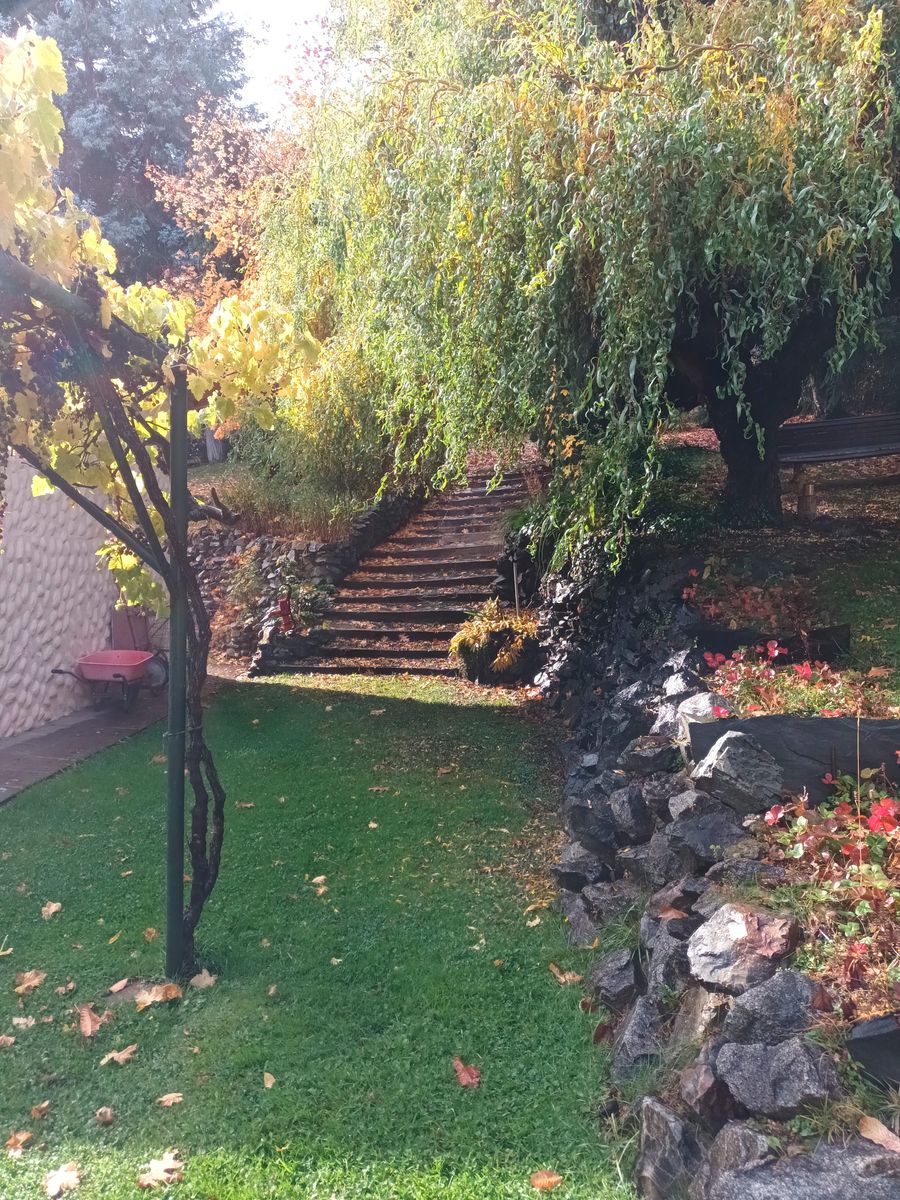 Subida Los Cipreses · Bariloche — foto 3
