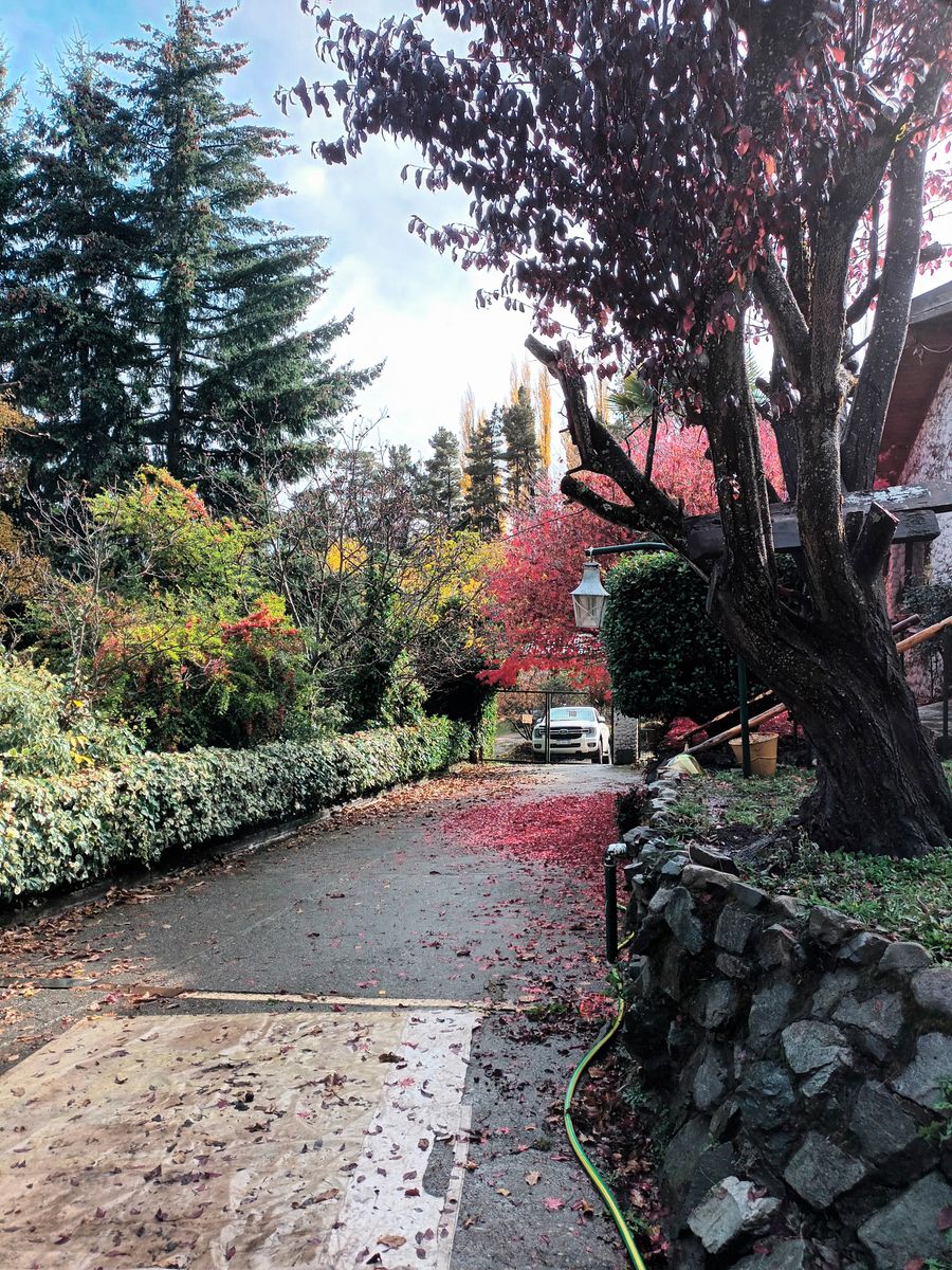 Subida Los Cipreses · Bariloche — foto 4