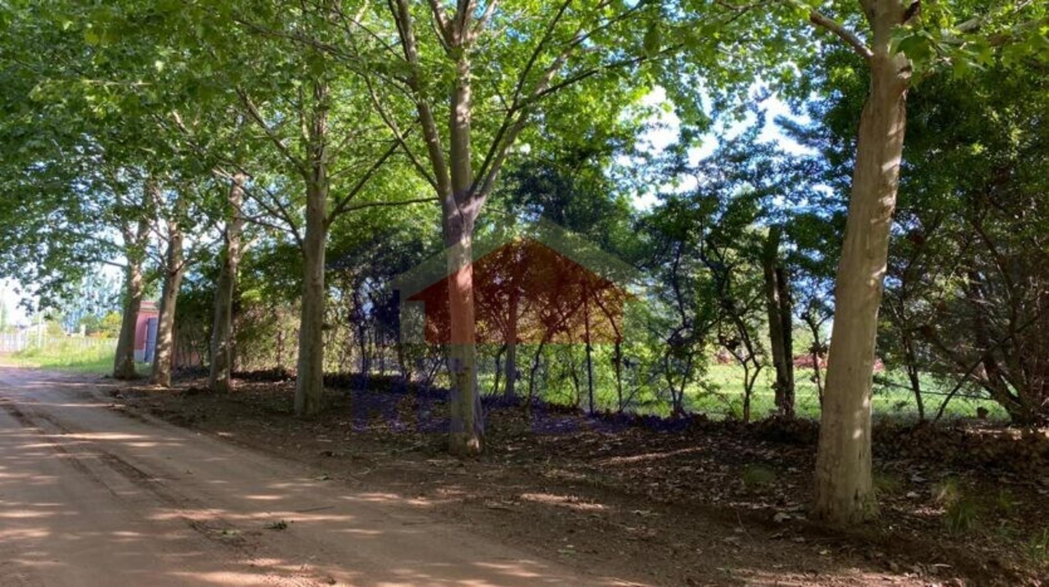 Las Calandrias · Lincoln — foto 3