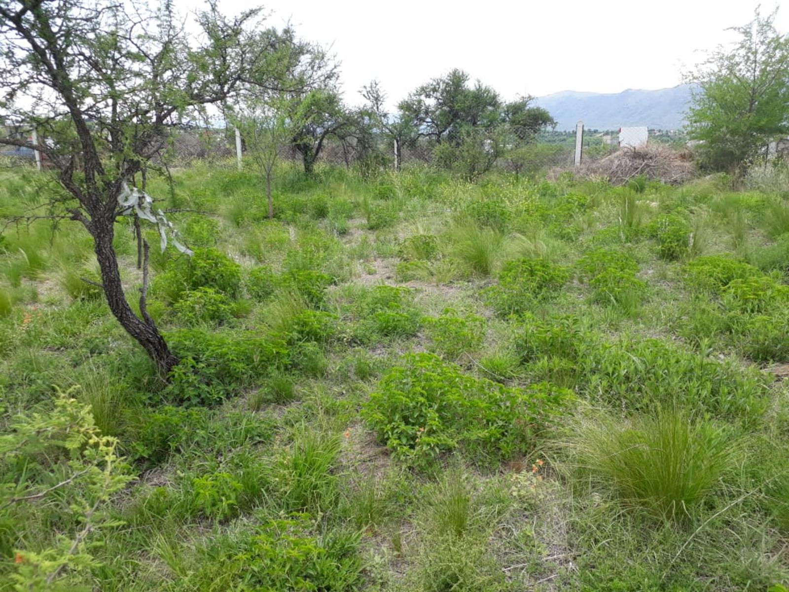 los cocos · Punilla — foto 11