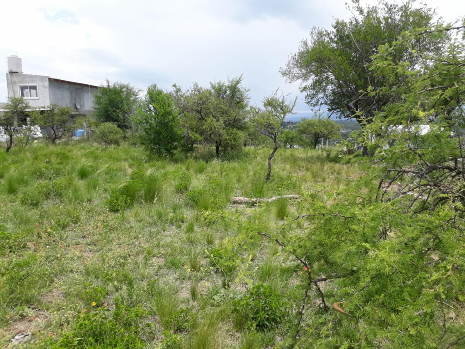 los cocos · Punilla — foto 4